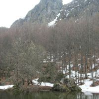 L'Anello nella Foresta del Monte Penna - Ciaspolata con le Guide del Parco dell'Aveto