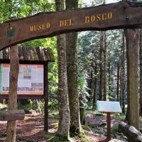 Museo del Bosco nella Foresta delle Lame - Rezzoaglio