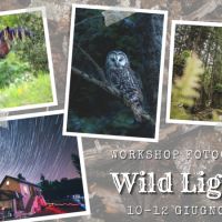 Wild Liguria - workshop di fotografia