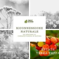 Forest bathing - Riconnessione naturale, estate