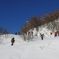 Scopri il Parco dell'Aveto con le racchette da neve: l'anello del Monte Cantomoro