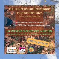 Full immersion nell'autunno